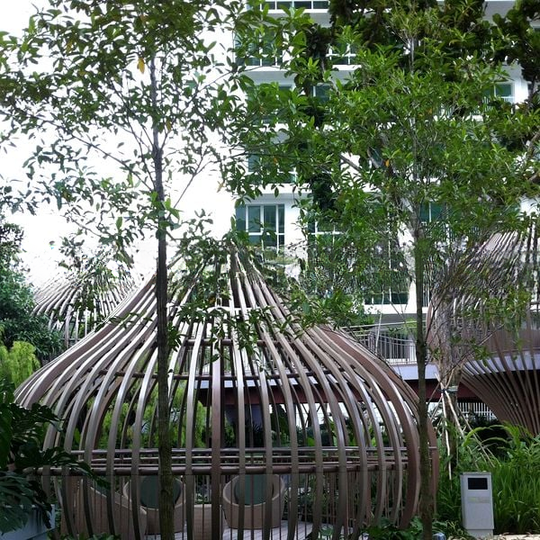 TREE HOUSE 4