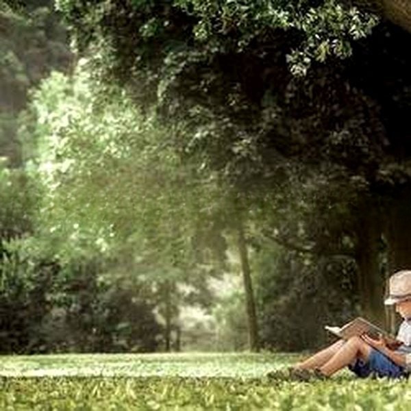 SCENECA RESIDENCE 11