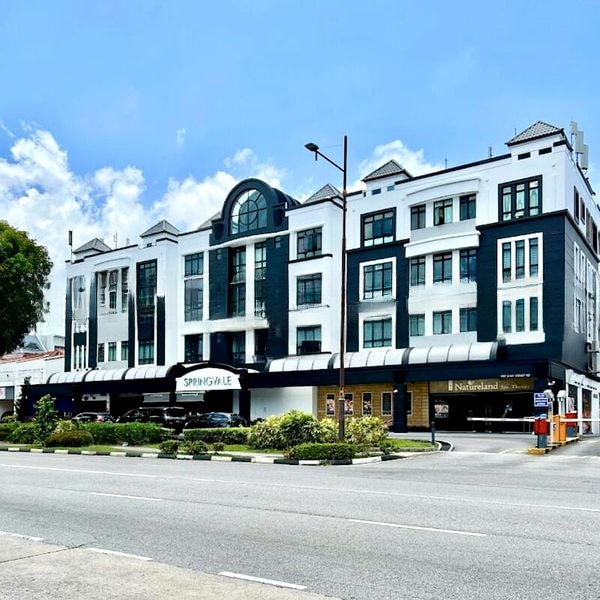 SPRINGVALE 6