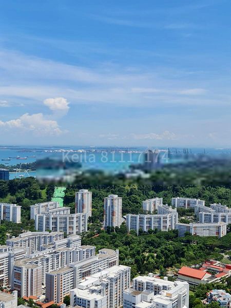 AVENUE SOUTH RESIDENCE 13