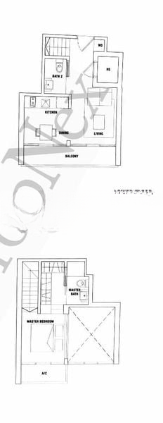 SPOTTISWOODE 18 6