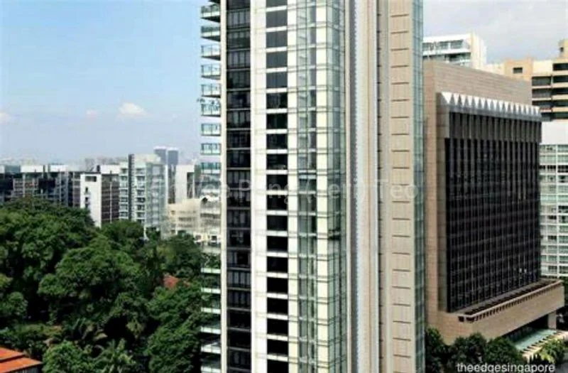 REIGNWOOD HAMILTON SCOTTS 8