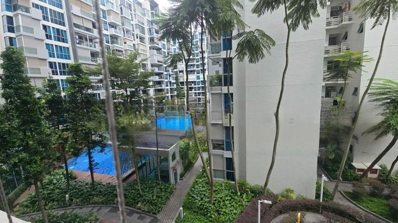 THE CANOPY 3