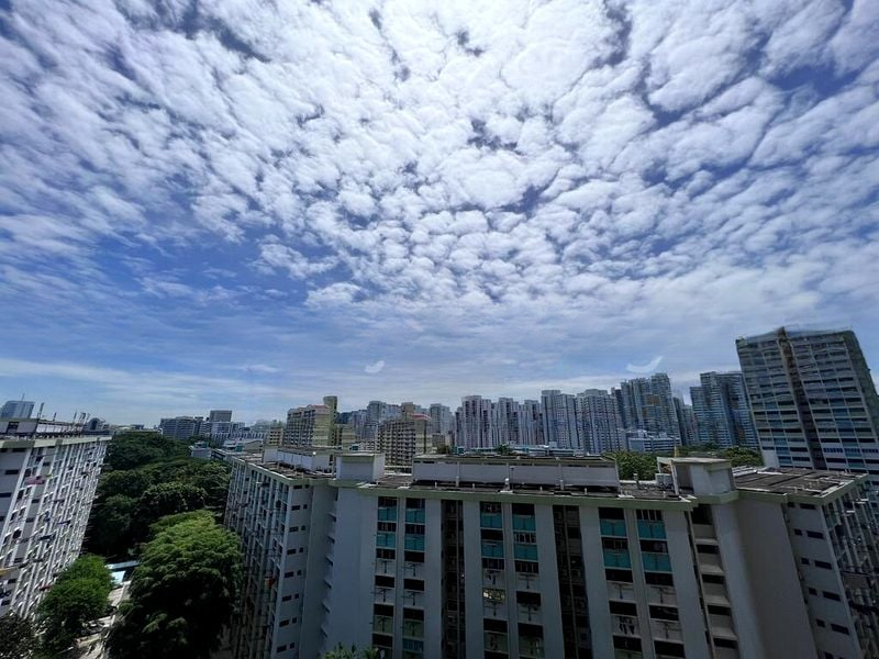 AVENUE SOUTH RESIDENCE 7