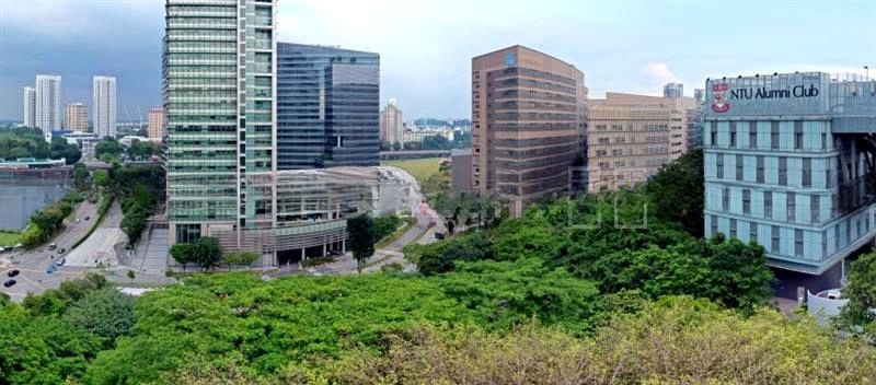 BLOSSOMS BY THE PARK 2