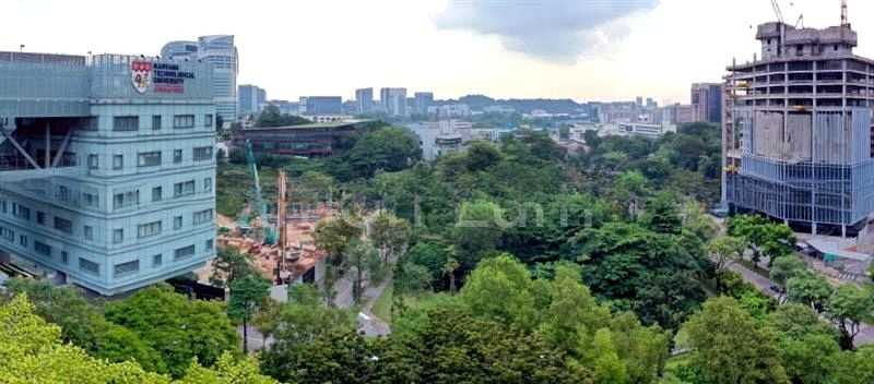 BLOSSOMS BY THE PARK 4