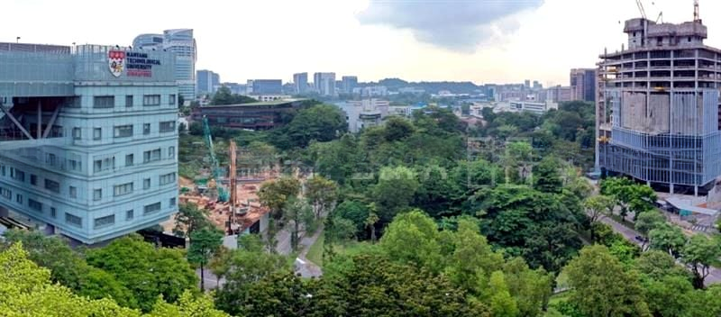 BLOSSOMS BY THE PARK 5