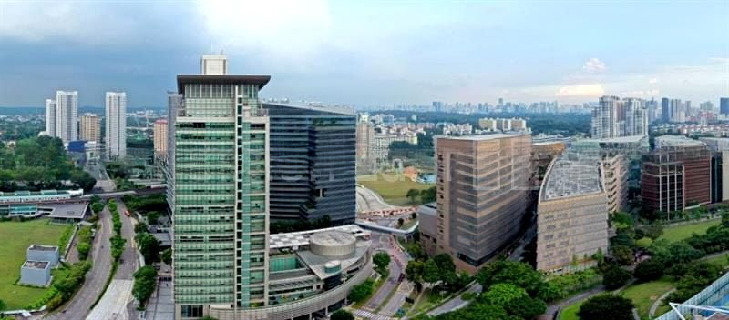 BLOSSOMS BY THE PARK 6