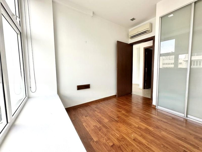 PALM OASIS 8