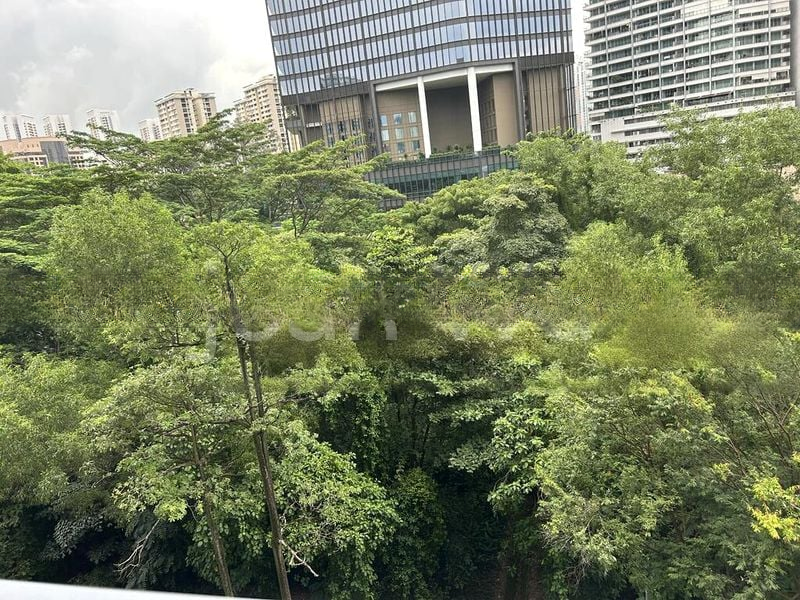 ONE-NORTH EDEN 10