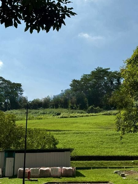 BT BATOK WEST AVE 5 3