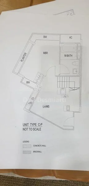 FIFTY-TWO STEVENS 11