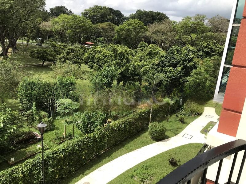 SUNRISE GARDENS 8