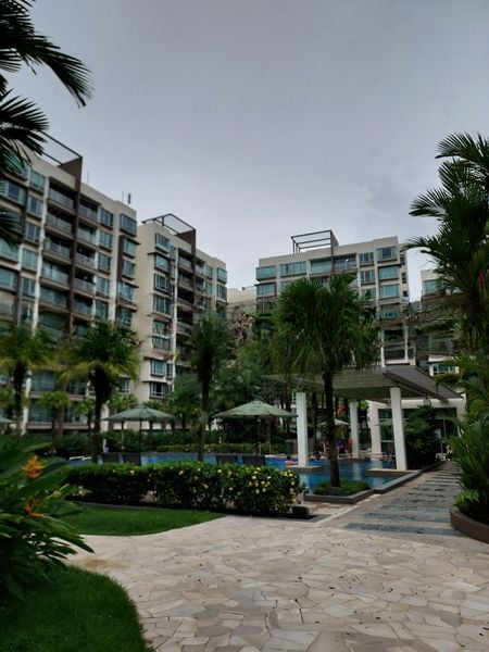 THE RAINTREE 9
