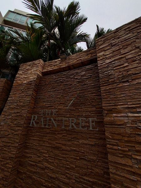 THE RAINTREE 10