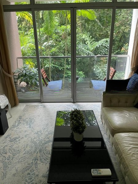 THE RAINTREE 3