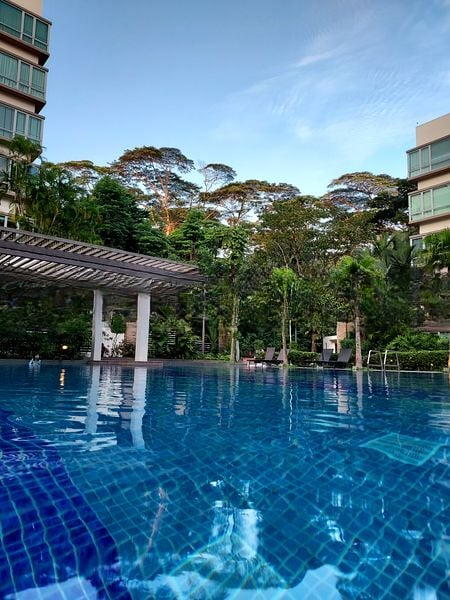 THE RAINTREE 2