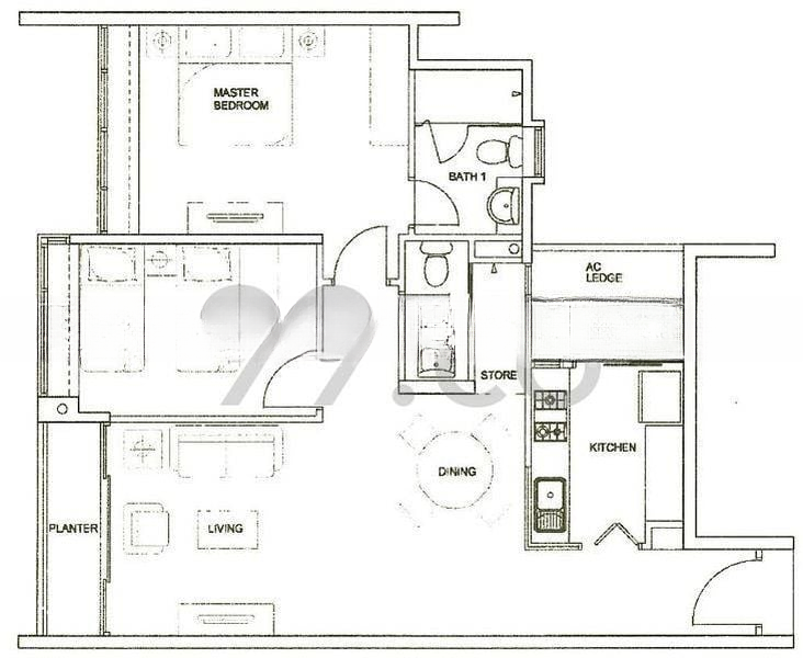 THE RAINTREE 11