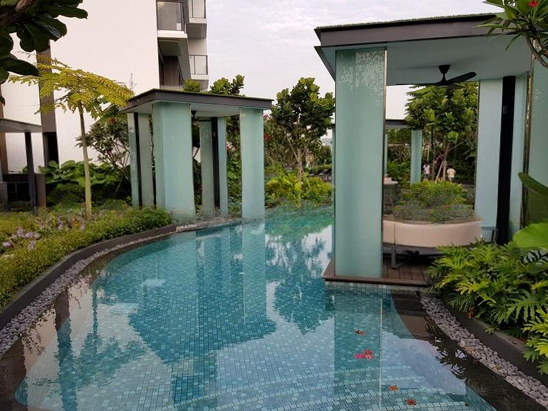 THE CLEMENT CANOPY 11