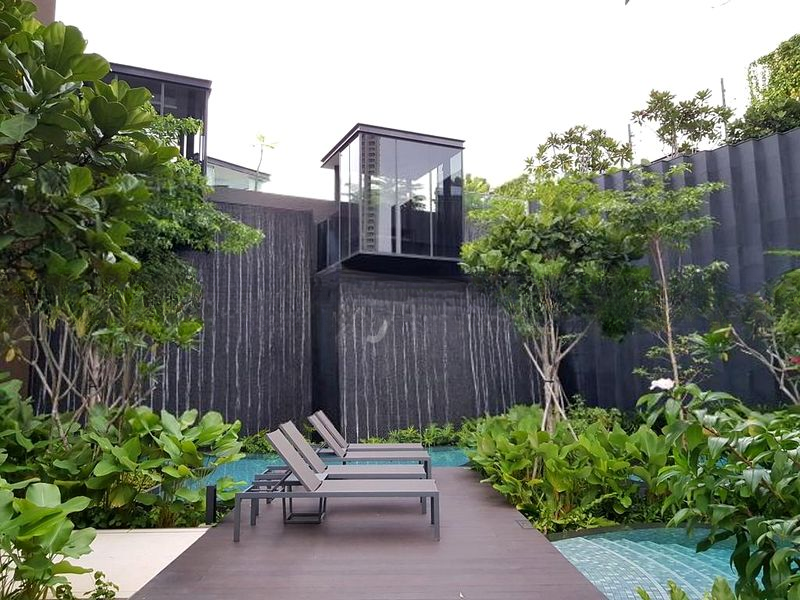 THE CLEMENT CANOPY 12