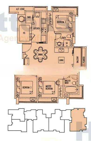 EAST ELEGANCE 14