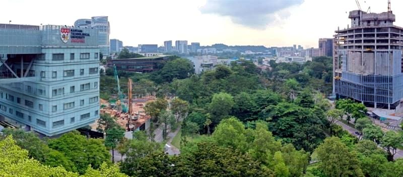 BLOSSOMS BY THE PARK 8