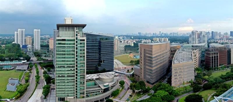 BLOSSOMS BY THE PARK 7