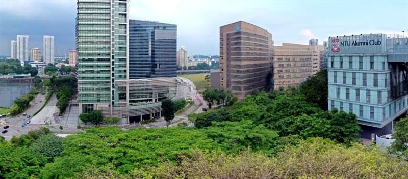 BLOSSOMS BY THE PARK 6