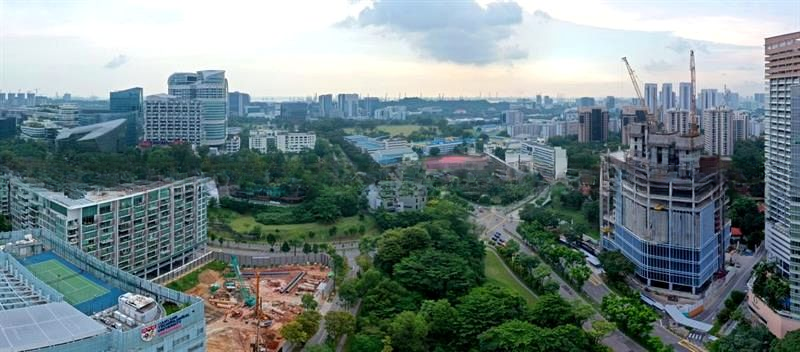 BLOSSOMS BY THE PARK 9