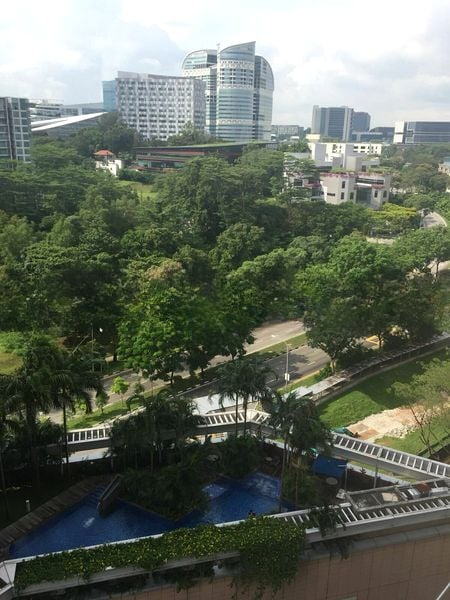 THE ROCHESTER RESIDENCES 6