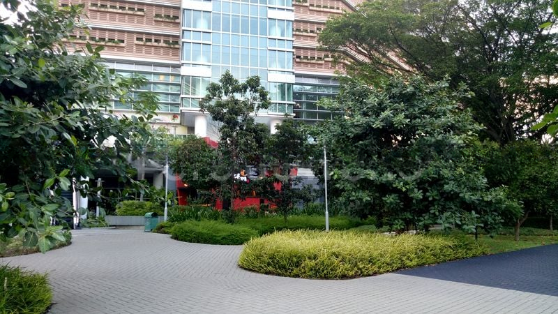 THE ROCHESTER RESIDENCES 7