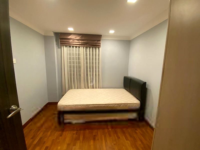 SUNNY PALMS 12