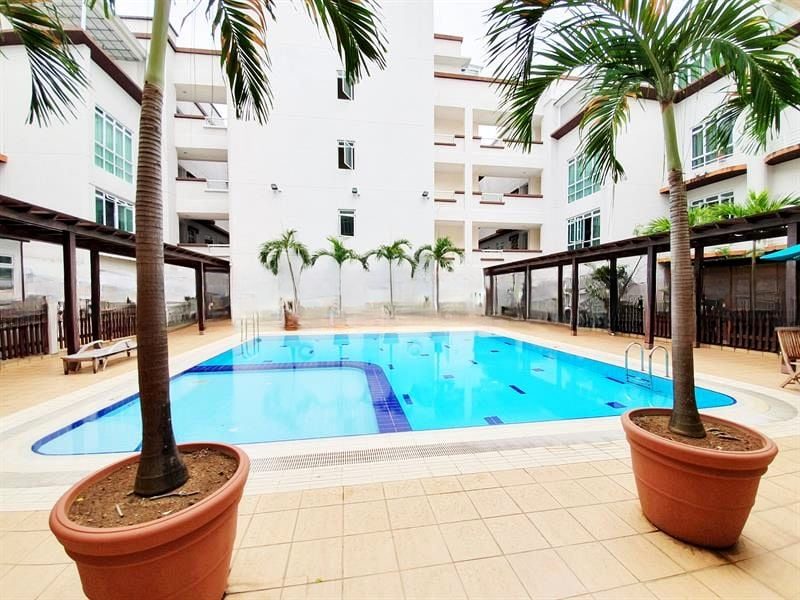 SUNNY PALMS 7