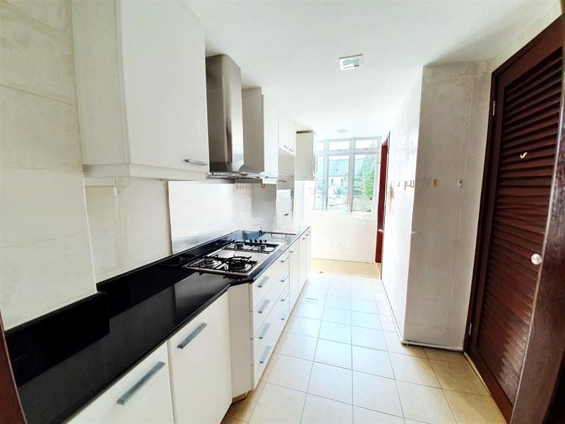 SUNNY PALMS 5