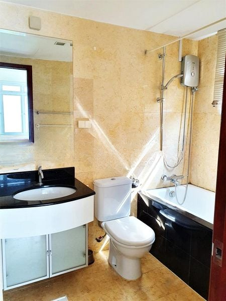 SUNNY PALMS 6