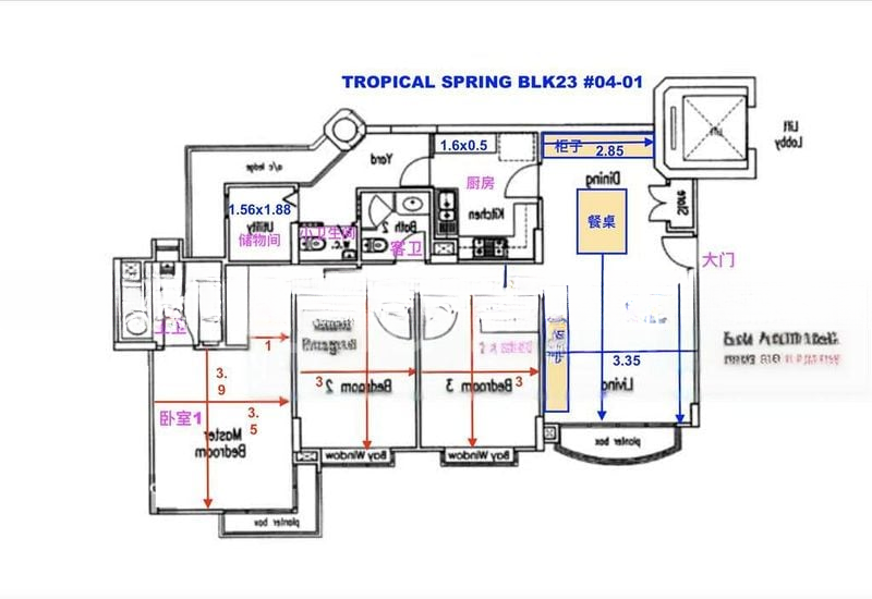 TROPICAL SPRING 6