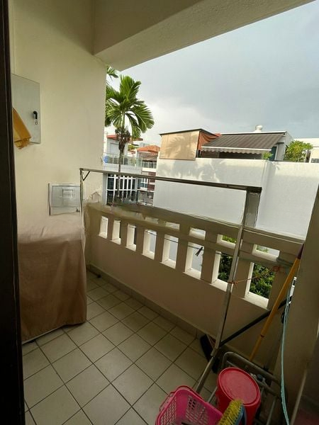 PALM HAVEN 3