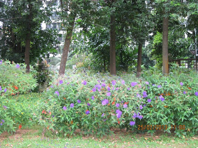 EASTPOINT GREEN 4