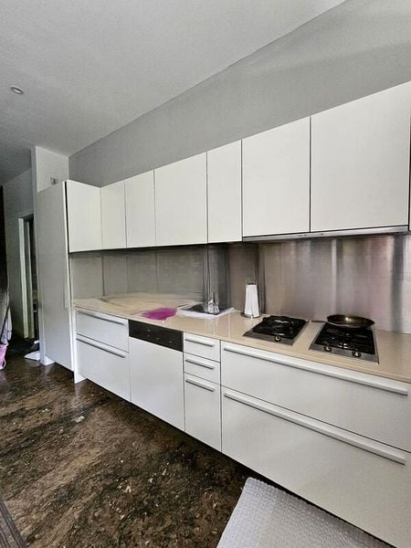 NASSIM PARK RESIDENCES 5