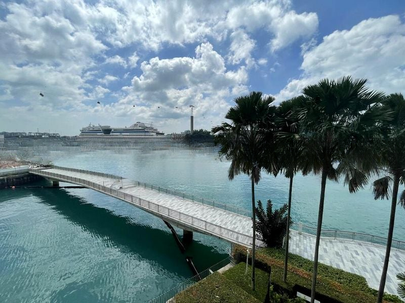 CORALS AT KEPPEL BAY 4