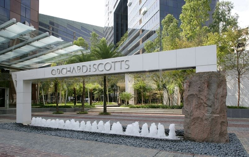 ORCHARD SCOTTS 5