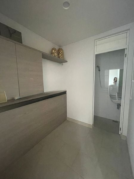 ST REGIS RESIDENCES SINGAPORE 5