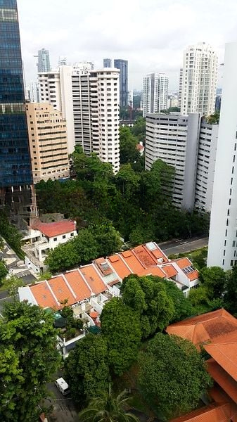 THE PEAK @ CAIRNHILL II 11