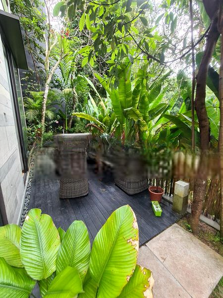 MONT TIMAH 10