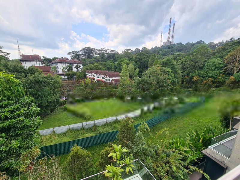 MONT TIMAH 11