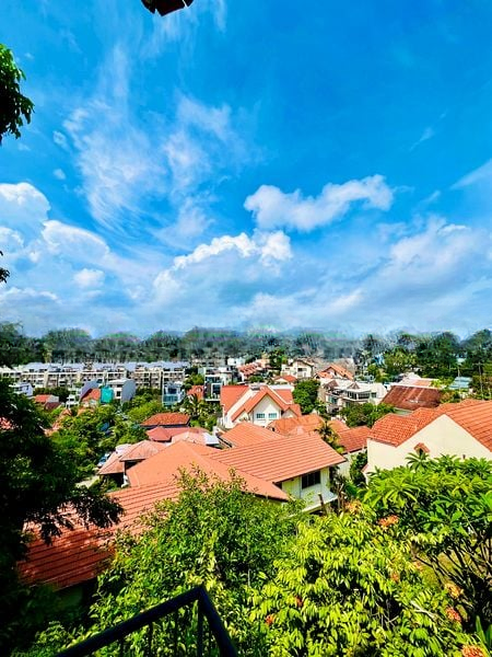 OPERA ESTATE 1