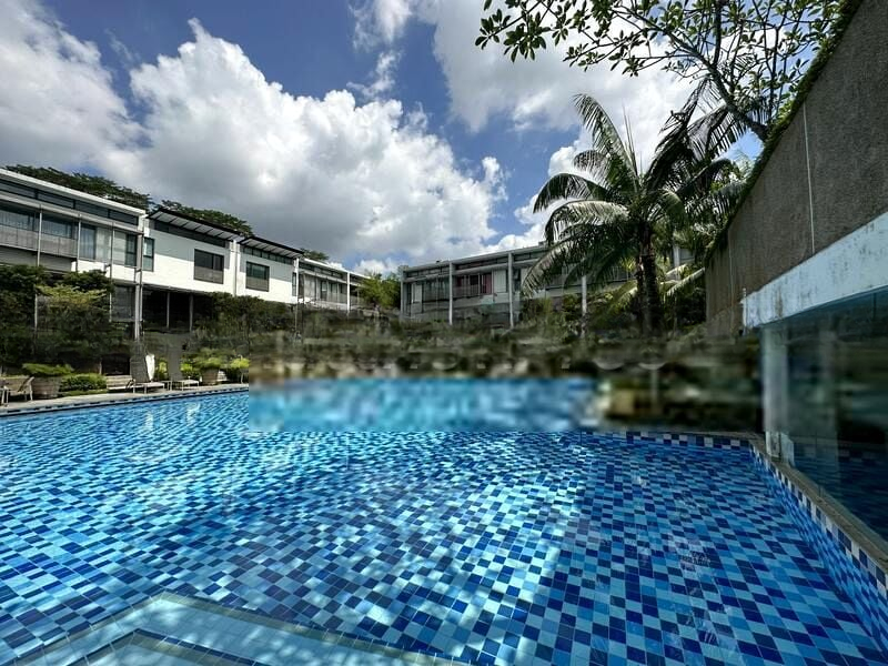 THE TENERIFFE 13