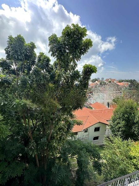 OPERA ESTATE 5