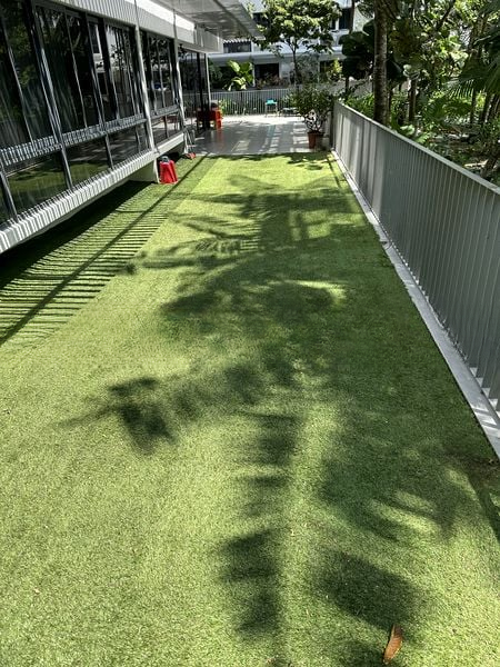 THE INTERLACE 14