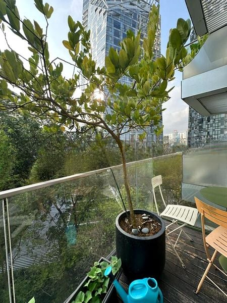 REFLECTIONS AT KEPPEL BAY 2